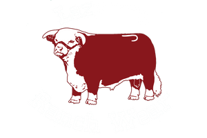 Lazy J Ranch Wear logo