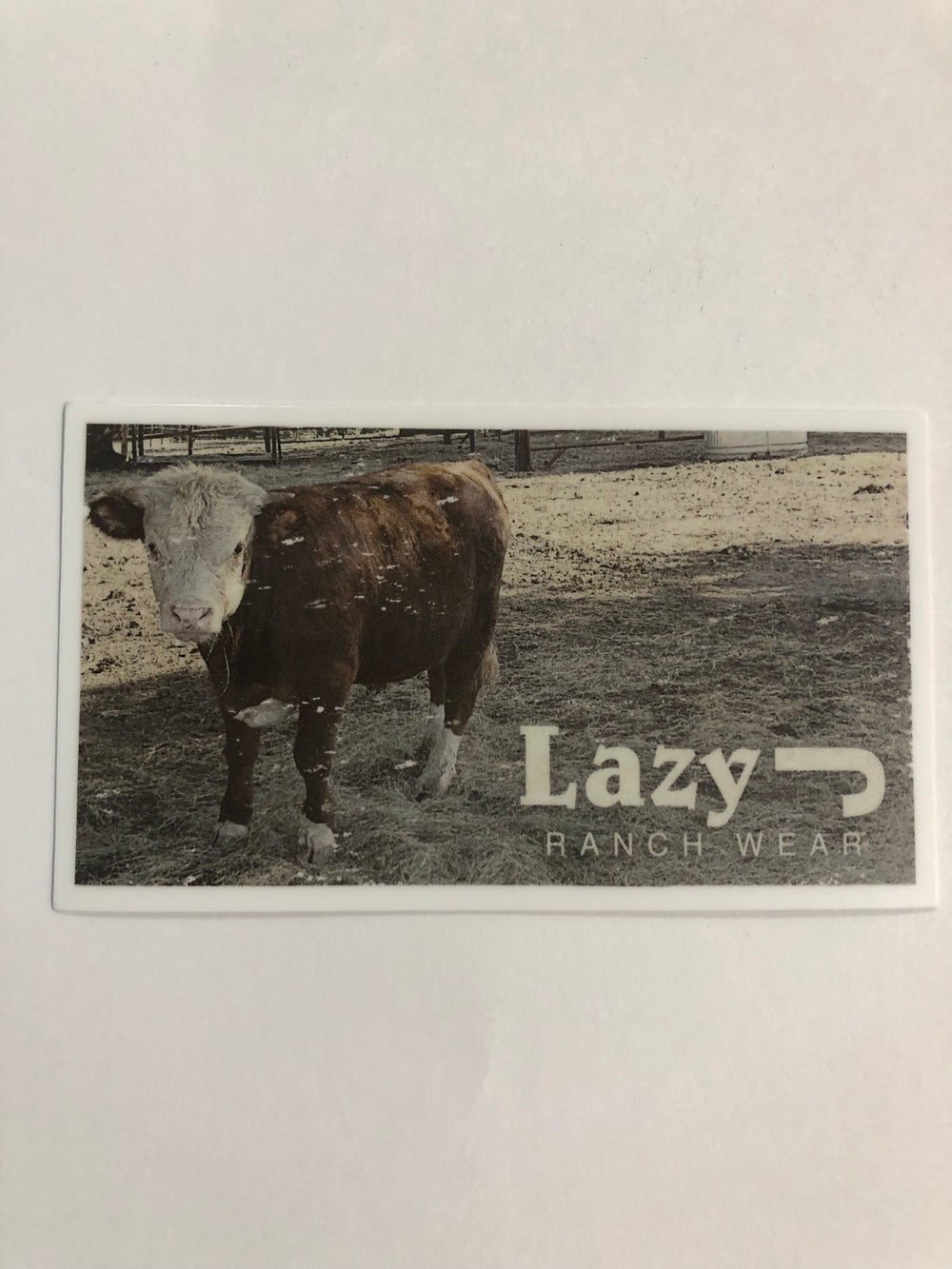 Lazy J Ranch Wear Calf Sticker