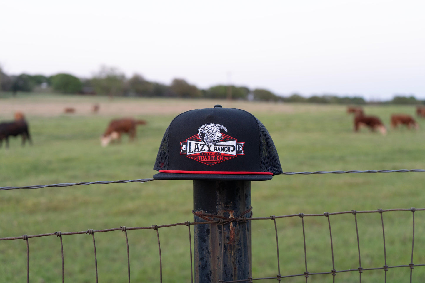 Lazy J Ranch Black Domino Classic Rope Trucker Hat-