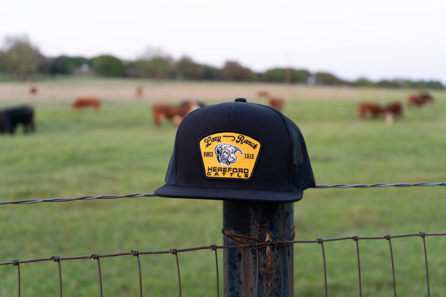 Lazy J Ranch Black Gold Hot Shot Classic Five Panel Trucker Hat-