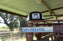 Lazy J Ranch Black & White Bull Trap Classic Five Panel Trucker Hat-
