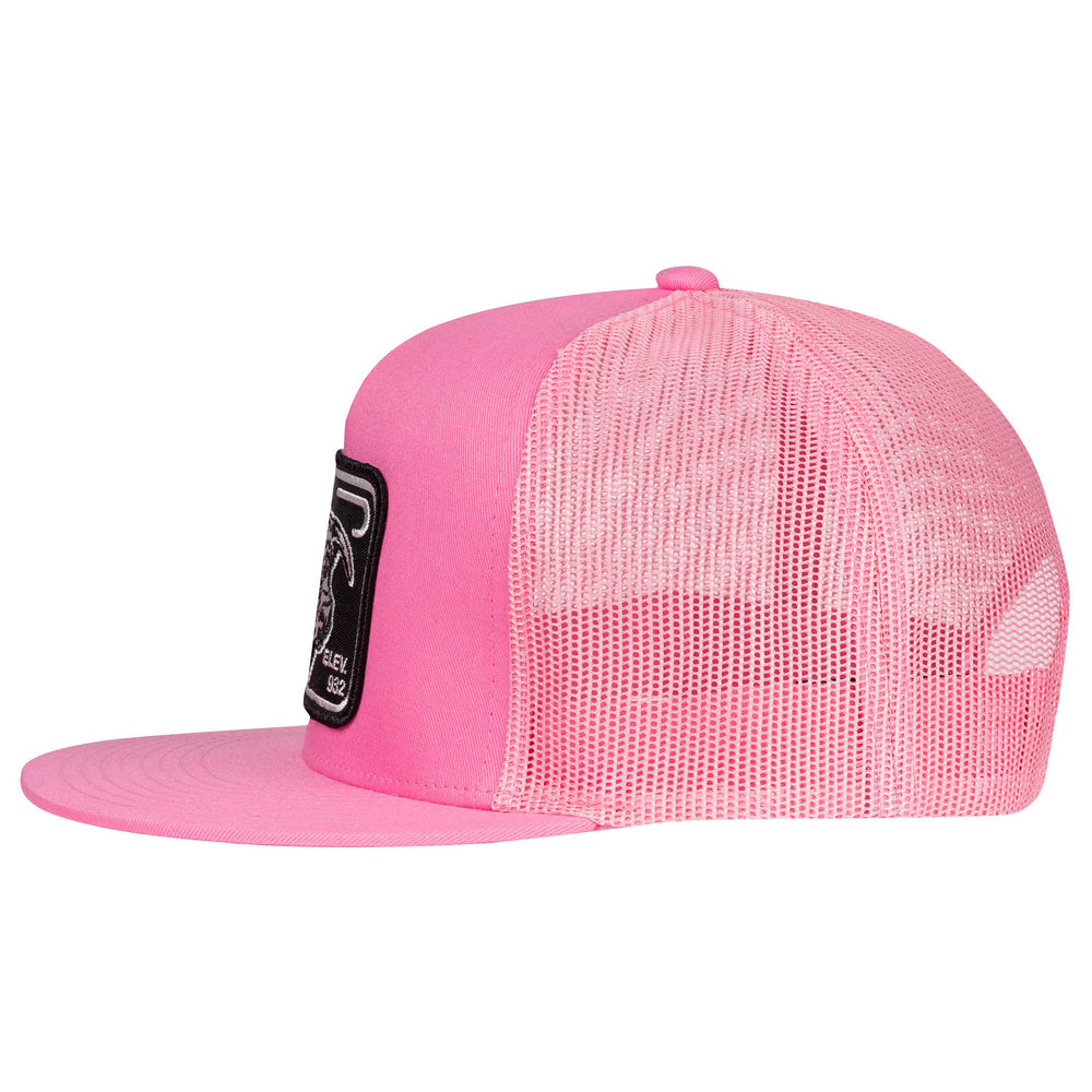 
                      
                        Lazy J Ranch Pink Elevation Classic Five Panel Trucker Hat
                      
                    