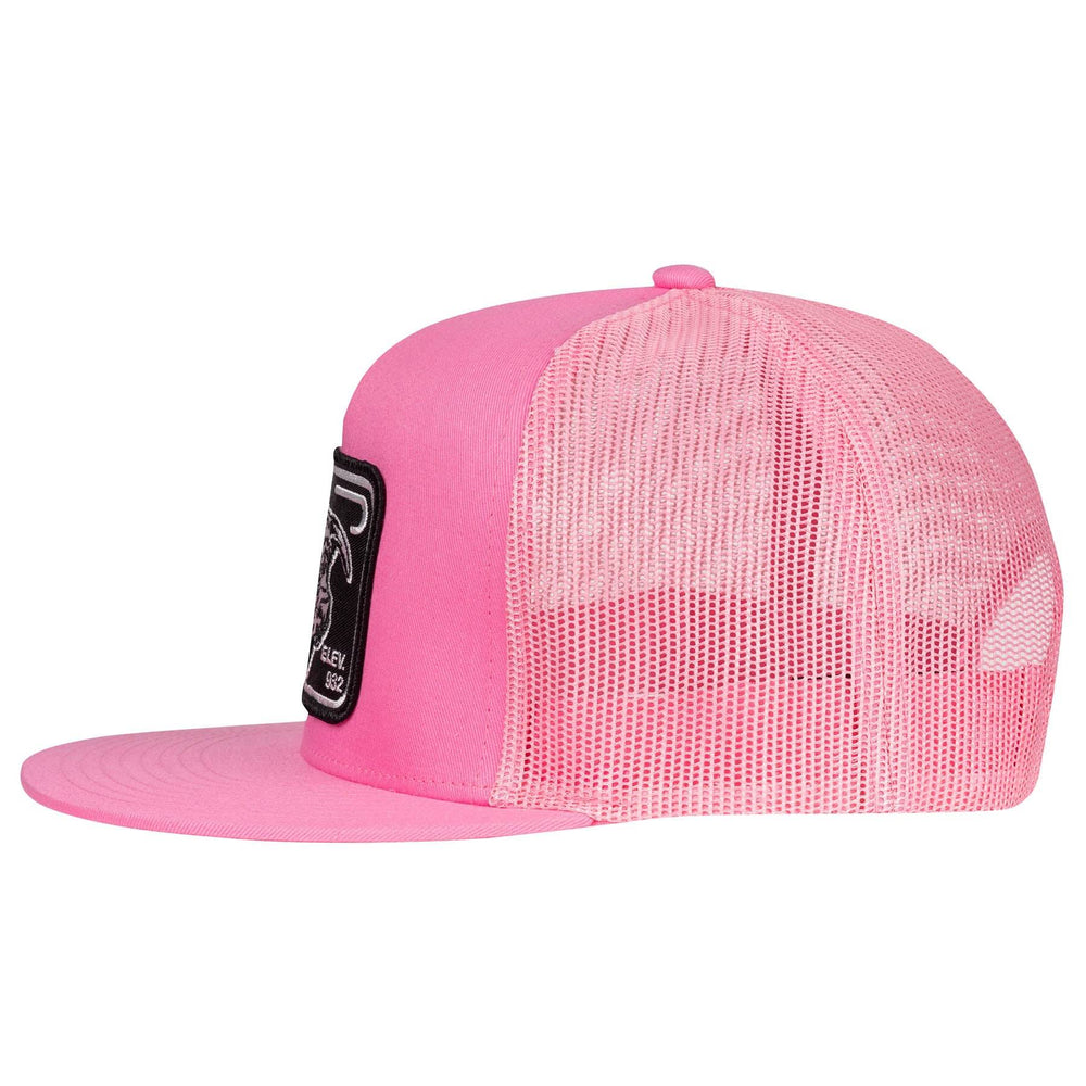 
                  
                    Lazy J Ranch Pink Black Elevation Classic Five Panel Trucker Hat-PINK4ELEV
                  
                