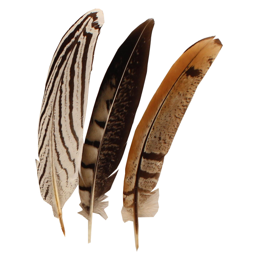 M & F Western Assorted Hat Trim Feathers