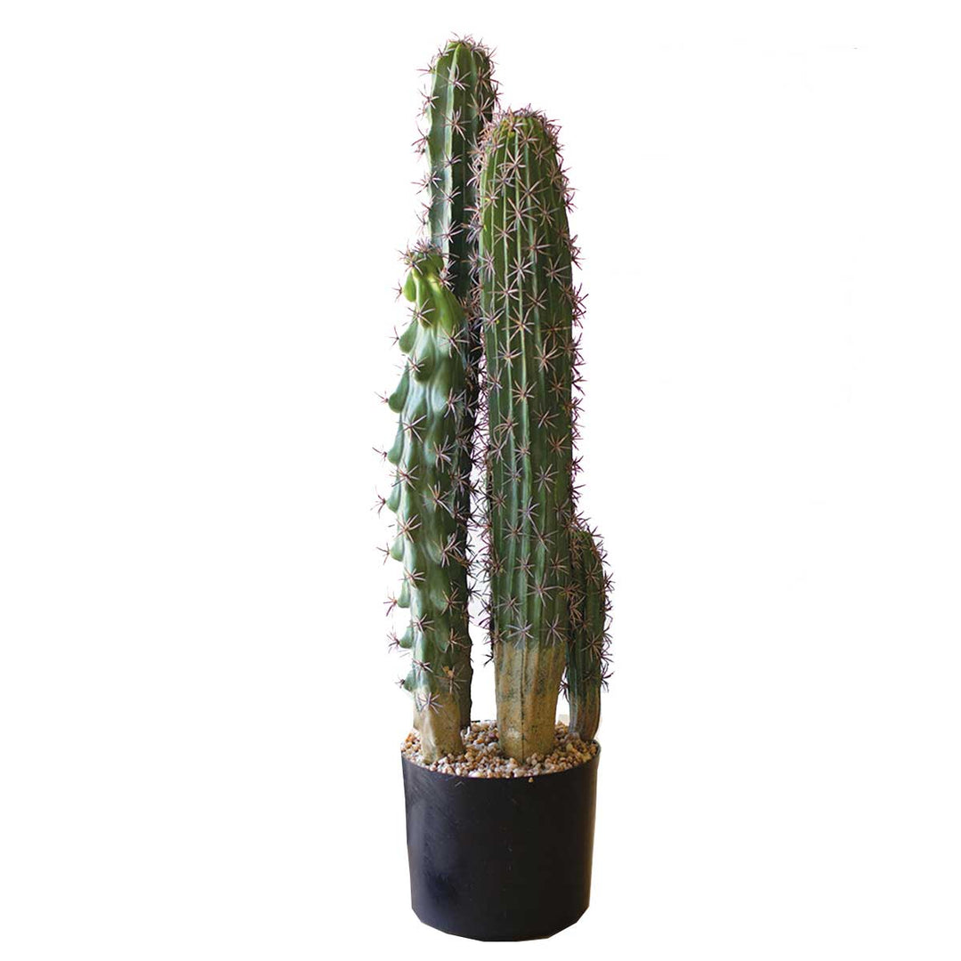 Kalalou Five Stem Artificial Cactus in Black Plastic Pot