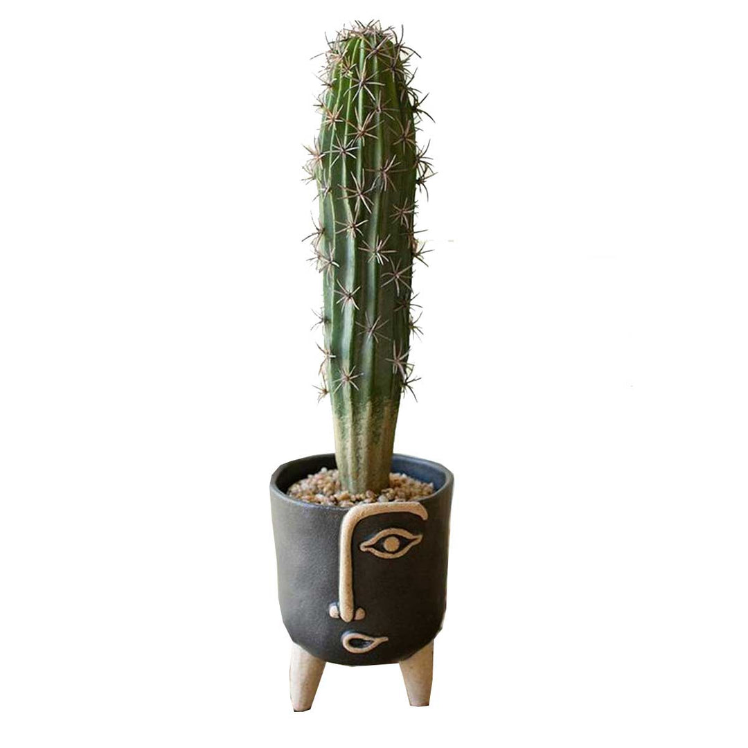 Kalalou Artificial Cactus in Black Plastic Pot