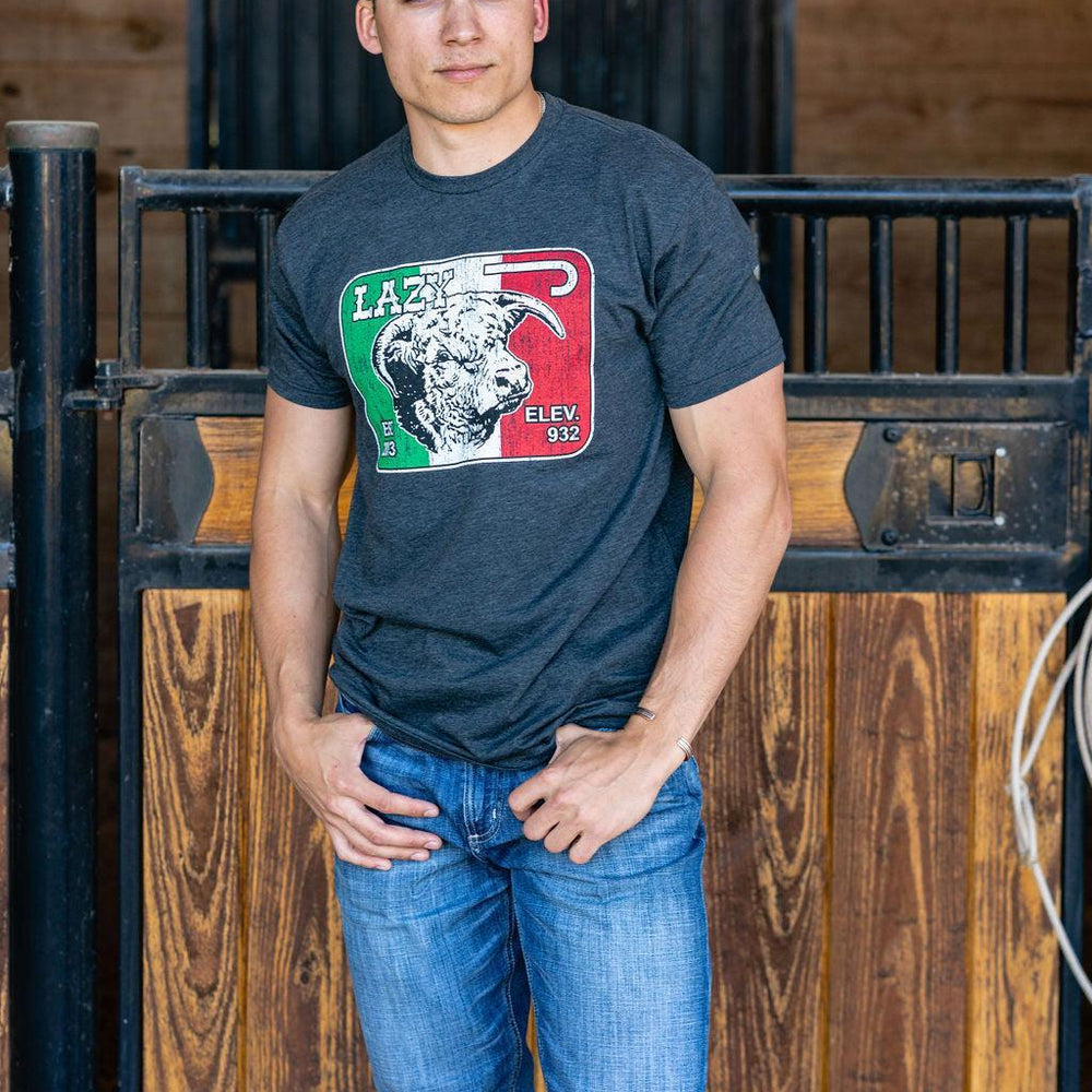 
                  
                    Lazy J Ranch Mexico Elevation Short Sleeve T-Shirt - Charcoal Grey-
                  
                