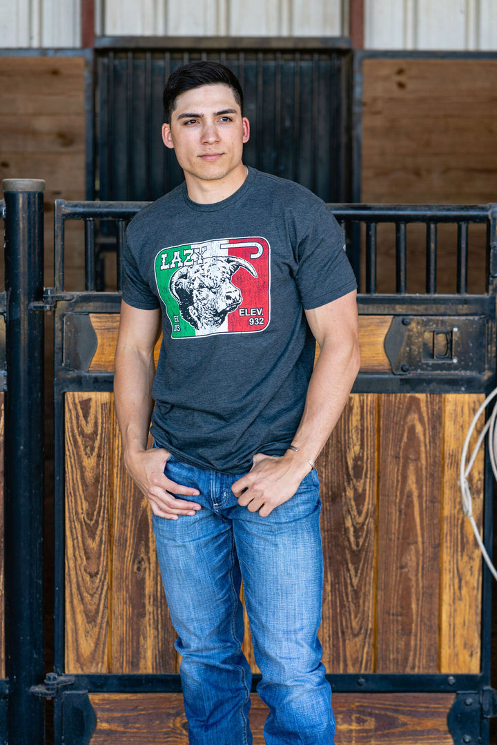 Lazy J Ranch Wear Mexico Elevation Short Sleeve T-Shirt - Charcoal